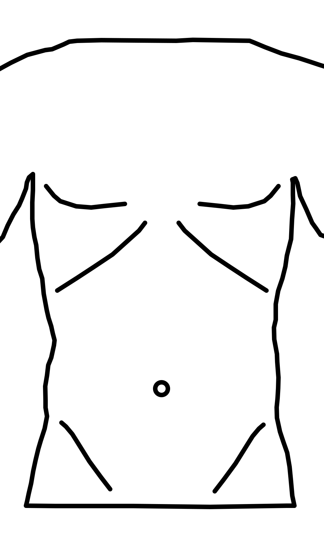 Abdomen